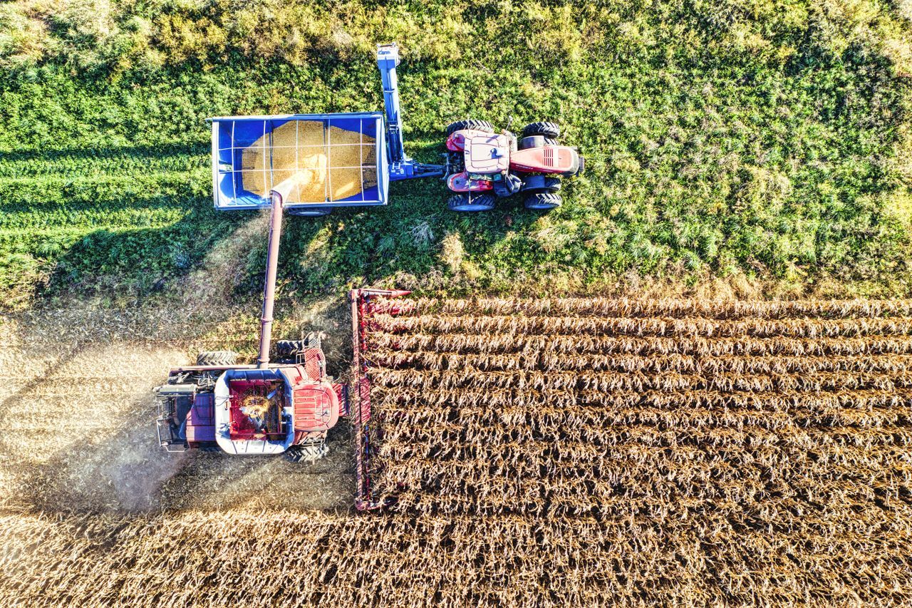 Harvested grain being loaded into a trailer