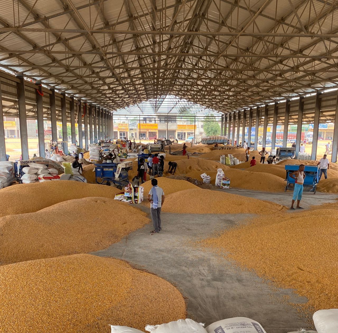 Grain aggregation warehouse with stored maize and bagged commodities